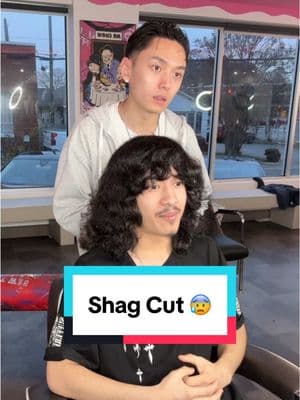 Shag Cut 😰 He cut it short to get a shag cut. This was more on the medium length side. It was fun doing this haircut  LINK IN BIO TO SET AN APPOINTMENT ‼️ _______________________________________ ##richmondvabarber##richmondva##vabarber##rvabarber##barber##fade##haircut##nguyensteadycutting #shagcut 