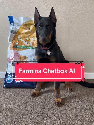 Meet Farmina Genius AI, available anywhere, anytime—start your conversation today with their 24/7 pet health & nutrition expert. Proudly sponsored by Veda herself. @Farmina Pet Foods  #dogtok #beauceron #fypage #dogsoftiktokviral #fueledbyfarmina #Farmina #dogfood #personalizedpetcare #happypethappyyou #petnutrition #myfarminastory #farminageniusai 