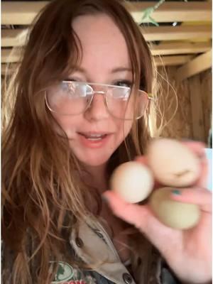 Oops 😬 #callduck #egg #chickencoop #farmlife #oops