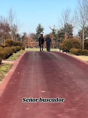 SEÑOR BUSCADOR #carrerasdecaballos❤️😍🐎🥇🏆🎖 #cuadracristorey🔰🏆 #cuadracantereros⚫️⚪️ #lanesendfarm #ruidosodownsracestrack🏇❤🏇❤🏇🏇🏇🏇 #caballoscuartodemilla🐴 #usa🇺🇸 #barrileras #Navidad #Christmas 