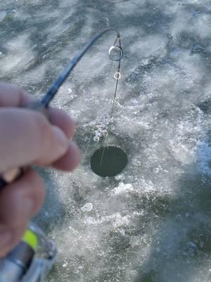 #icefishing2025 #bluecat #icefishing #catfishicefishing #captainredbeard #jasonhyman #jasonsfishguides #amazingvideo #100gar 