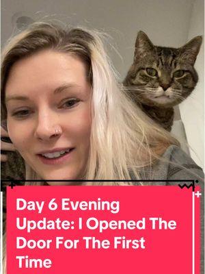 Day 6 evening update: I’m sure I did this earlier than I should have. I took a suggestion from the comments to see if that would help! I think it went well, but I think I’m going to keep taking things slow and try this again in the future! #catdistributionsystem #catdistributionsystemoftiktok #update #catsoftiktok #adoptdontshop🐾 #emotionalsupportanimal #emotionalsupportcat #emotionalsupportcats #catmom #audhdcatmom #introducingcats 