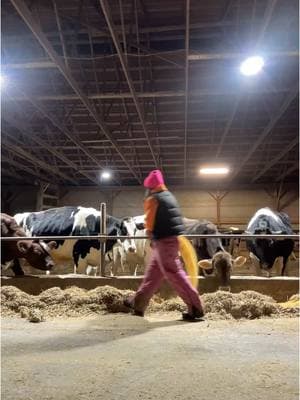 I WILL be nicer, 😂 RIGHT?! #farmtok #farmwife #work #dairyfarmer #cows #brownswiss #barnchores 