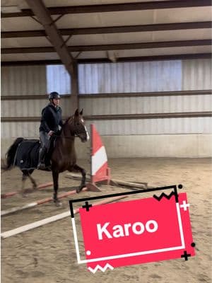 Michelle and Karoo! #progress #saddlebred #jumpinghorse #horsegirls #AAALASPARATUCURRO 