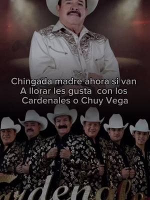 #cardenalesdenuevoleón #loscardenalesdenuevoleon #chuyvega #desamor #triste #llorar #fyp 