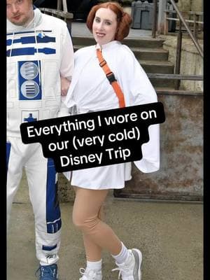 Everything i wore on our disney trip last week! #creatorsearchinsights #disneybound #disneyworld #starwars #muppets #princessleia #scarletwitch #queenamidala #padme #rizzotherat 