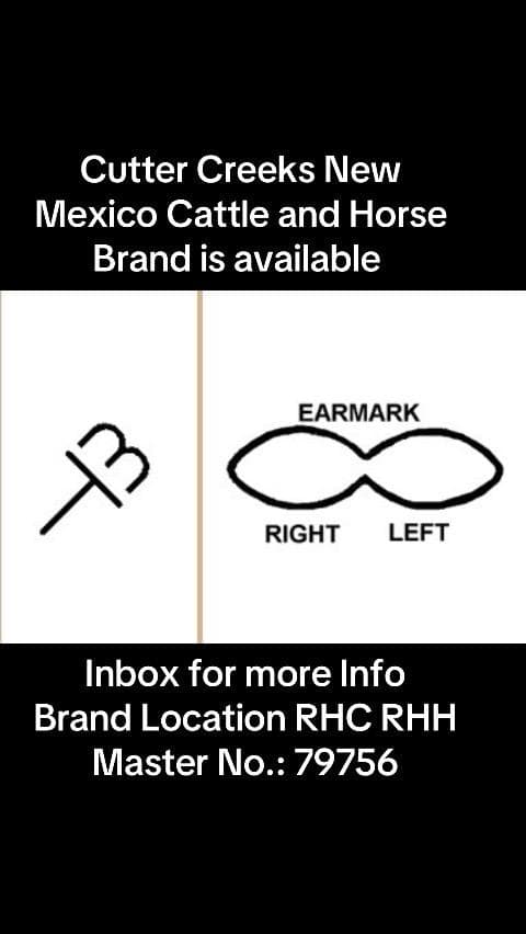 After 27 years of owning this brand, it’s time get rid of. With a new life comes a new brand. #cattle #cattlebrand #rancher #horses #newmexico #horsebrands #fypage #fypシ #newlife #newstart #cuttercreek @cutter_creek  