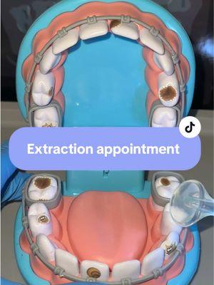 Please schedule your filling appointment 🦷🥶🥶🥶 #asmr #asmrdentist #asmrtoy #dentalasmr #asmrvideo #asmrvideo #asmrtiktoks #fyp #leehoo #TikTokShop 