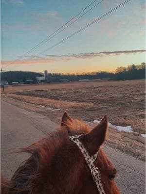 I’m just trying to find the joy in the simple things in life again..I have been super grateful for good horses and the one true best friend I have ❤️‍🩹❤️‍🩹❤️‍🩹 @𝕃𝕚𝕟𝕕𝕤𝕖𝕪.🐾🤍🌿  #fy #fypage #fyp #horselover #redmare #trailride #openfeild #sunset #aqha #aqhaproud #springride #gratefull @Pretty Polos By Jessie #headstall 🫶🏻 #backroads #familyfarms #familyfarm #slowlyhealing #pasttrauma #narcex #pastex #dv #dva #dvawareness #domesticviolenceawareness #narcabusesurvivor #dvsurvivor #dvsurvivor💜 #HealingJourney #healing #itsaprocess #keepmovingforward #youllgetthere 