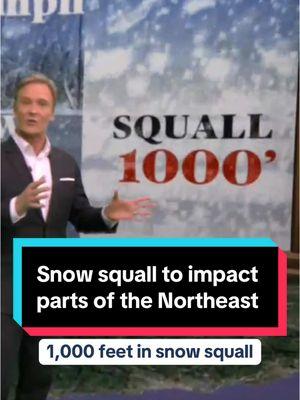 Snow squalls will bring blizzard-like conditions to parts of the Northeast. #Meteorologist Lonnie Quinn is at the weather map with what to expect. #news #weather #weathertok #snowsquall #snow #winter #northeast #boston #cleveland #cold 