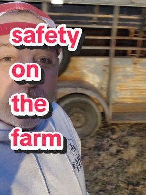 a safety tip on the farm #farming #ranching #farmtips #farmlife #cattle #livestock 