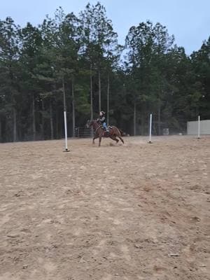 Sometimes you gotta just go for it for the fun of it ..... Bay said let's just  see if she even knows anything about poles....the dragon said um ma'am excuse me. #blessedlife #louisianacowgirl #mardigras #workingforourgoalsnotyours #barranchtack #corenutritionequinesupplement #hotheadstalls #