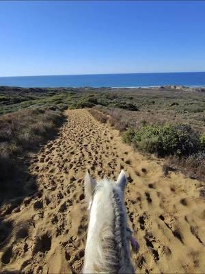 Riding my #gypsycob #serenitytheunicorn at #montanadeoro #beach #beachvibes #beachday #ocean #oceanlife #california #californiadreaming #livinglifetothefullest 