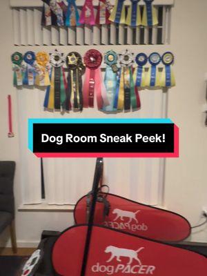 It’s been a long time coming, but it’s just about complete… of course within 8 months of us moving😅 #dogroom #dogroomtour #dog #dogs #dogsoftiktok 