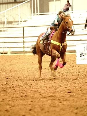 #myprettyboyfloyd takes the win in the BEEginner class! 🤩 #barrelhorse #barrelrace #kidhorse #boomerbiteshorsetreats #shilohsaddlery #thediamondclassic #bettybrand #fyp #cowgirl #babybarrelracer #quarterhorse #bvehyouth 