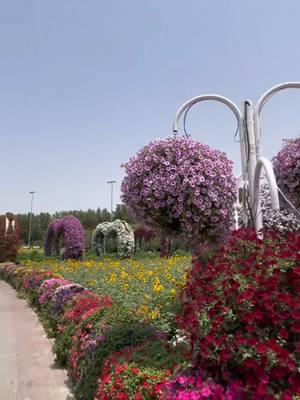 Sweet Memories-  Dubai Miracle Garden ❤️#onthisday #Dubai #miraclegarden #srilanka #australiatiktok #srilankn_tik_tok #foryoupage #nuwanlosangeles #onemillionaudition #foryoupageofficiall #foryoupage 😍