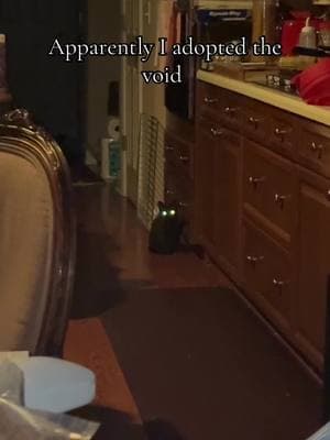 #blackcats #southerngothic #goth #cutecatsonly #funnycatvideo 