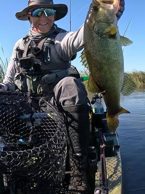 That's What's Going On in the #Everglades #NativeSlayerMax10 #NativeWatercraft #FishingIsGoodHere #WomensFishingFederation #KBF #KayakBassFishing #Bass #KayakFishing #GoProHero13 #bassfishing #fishing @gopro #ILoveFishing #fishmonkeygloves #bendingbranches #columbiapfg #oakley