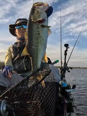 The Best for Last - #Everglades #NativeSlayerMax10 #NativeWatercraft #FishingIsGoodHere #WomensFishingFederation #KBF #KayakBassFishing #Bass #KayakFishing #GoProHero13 #bassfishing #fishing #ILoveFishing #fishmonkeygloves #bendingbranches #columbiapfg #oakley @gopro