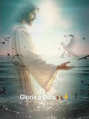 Gracias Dios por este nuevo miércoles, Mi Vida y mis planes están en tus manos. 🙏🤍 #AmenAmenAmen #BendecidosParaBendecir #miercoles #GloriaADios #enero2025 #CristoVienePronto #paratiiiiiiiiiiiiiiiiiiiiiiiiiiiiiii  #cristoesamor #disfrutatudia