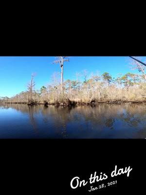 #fishing #trick #crf450r83 #florida #saltlife #viralvideo 