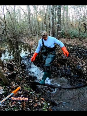 Ooo Beeeaverrrs!! 👂|| Beaver Dam Removal! #beaverdamremoval #beaverdam #damremoval #beavers #dam #drain #draining #water #unclogging #terrellspivey #fypシ゚ #foryoupageシ #foryou #viralreels #viralvideo #viralpost #fbpost #foryoupageofficiall #fyp #fyppppppppppppppppppppppp #tiktok #tiktokreels #shorts #tiktokvideos #viraltiktokvideo #tiktokviral 