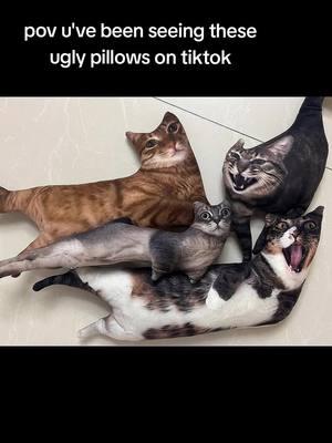 Time to make yours #uglycatpillow #uglypetpillow #uglypillow #customizedpillow 