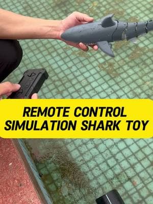 This shark toy is remote controlled! #sharktoy #remotecontroltoy #rcshark #sharks