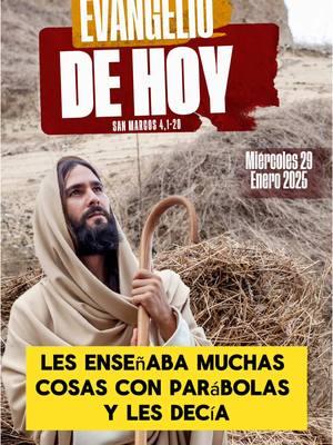 Evangelio de hoy Miércoles 29 Enero 2025  #lecturadeldia #evangeliodehoy #evangeliodehoy #lecturadehoy #santoevangeliodehoy #santoevangelio #catolicos #VirgenMaria #misa #jóvenescatólicos #musicacatólica #santorosario #renovacioncarismaticacatolica