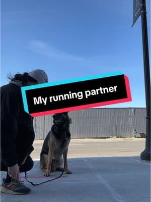 He’s not approachable 🐕 #goodboy #staysafeladies #dogsofttiktok #dogs #germanshepherd #runnerthings #runner #hotgirlwalk #dc #washingtondc #dccheck 