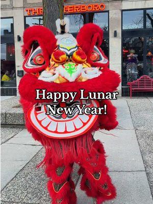 Happy Lunar New Year! 🐍🎉 Wishing you prosperity, happiness, and good fortune as we celebrate the Year of the Snake! May this year bring wisdom, transformation, and success in all that you do. #LunarNewYear #YearOfTheSnake #GoodFortune #NewBeginnings #Detroit #DetroitChinatown #ChinatownDetroit #midtowndetroit #visitdetroit 