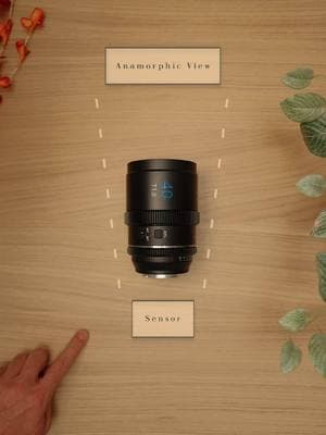 What is an Anamorphic lens? 🧐 Anamorphic lenses vs spherical lenses…note that I am generalizing here, since anamorphic lenses and their effects do vary, but this should give you a pretty good idea on what an anamorphic lens is and how it might differ from a ‘normal’ (spherical) lens.   🔗 ~ ALL LINKS IN BIO ~ 🔗 Showcased: - @Moment Marketplace 1.33x anamorphic lens for mobile - @siruiimaging 40mm T1.8 1.33x autofocus anamorphic lens - Sirui Saturn 1.6x anamorphic lens set 🎥 Link to all of my gear in bio  🎨 Color graded with The Everyday LUT (link in bio) Shot on: - @Sony Alpha A7IV - @SonyElectronics 20mm f1.8G . . . . #sonya7ivtutorial #sonya7iv #whatisananamorphiclens #anamorphiclens #siruisaturn #videographytips #shotonsony #sonyalpha #anamorphicvsspherical #filmmaking #cameragear #cameratutorial 