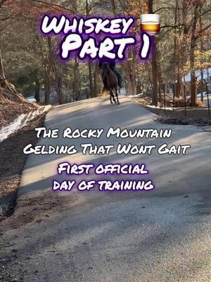 Part 1 whiskey 🥃 gait training #fyp #horse #horses #gaited #horsetraining #farm #ranch #farming #ewhtrailhorses 