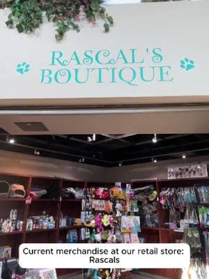 If you’re looking for a great way to give back, shop at Rascal’s Boutique! 🛍️ 🐾 Rascal’s is located in our shelter lobby and offers amazing deals at heavily discounted prices. 100% of store proceeds go toward shelter animal care. 🐶🐱 Come visit us today and make a difference! 🌟 #AnimalFriendsOfTheValleys #RascalsBoutique #ShopForACause #SupportShelterPets