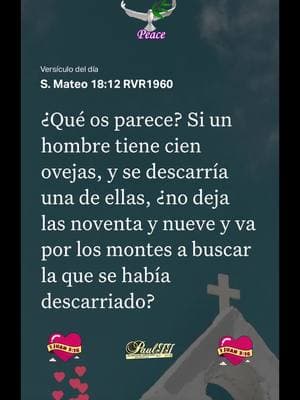 S.Mateo 18:12 RVR1960 #versiculodeldia #labibliaapp #jesus #juan316 #amor #fe #fuegodelespiritusanto #pauljjmusic🙏🏻📖🙌🏻👍💡 