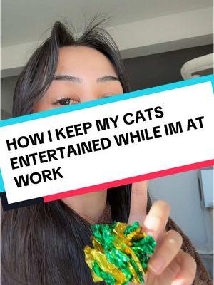 Ways I help keep my cats enriched while im away #cattoys #cattoyreview #cathealth #catownertips 