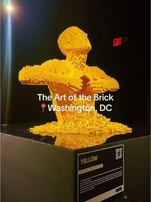 Save this post  for you next day out!  🧱The Art of Brick is here in DC from Jan 30-end of March.  🎨Explore how one million LEGO® bricks have been transformed into over 130 works of art, including a 20-foot-long T-Rex and life-sized sculptures. 👨‍👩‍👦‍👦Perfect for all ages  💸 Click the link in my bio to purchase and get 10% off using discount code TIFFANYSMITH10 📍 Location: Rhode Island Center, 524 Rhode Island Ave NE, 20002 #theartofthebrick #lego #legos #thingstododc #dmvinfluencer #thingstododmv #fever #feverambassador @Fever 