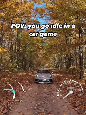 Best dirt road car 🌳🍂 #porsche #gt3 #forza #afk #trend #991gt3 #porschelife #fyp #foryou 