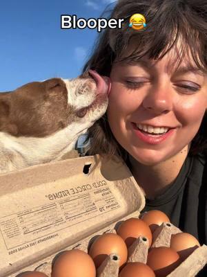 I'm live cooking eggs and toast. We are tent camping out in California, join the live ❤️ #traveler #stephandclover #stephtravels1 #bostonterrier #traveldog #cookinglive #tentcamping #stephtravels #nomad #solofemaletraveler #camping #grwm #TikTokShop #california 