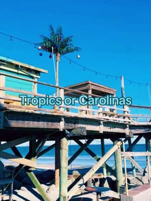 @Saltchasers2 #saltchasers #saltchaser2 #oceanlakesfamilycampground #carolinabeach #palmtree #pier #carolina #takemethere #vacation #travel #restaurant #beach #rustic #oveanfront #dunes #carolinabeach #driveonthebeach #onthisday #beachbar #camping 