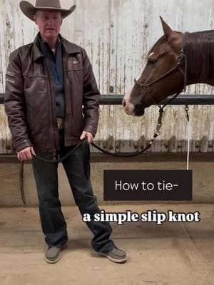 Tying a slip knot 😎 - use a good quality halter and lead rope, it makes all the difference. All of mine in my program are from @weaverequine.  This week we are talking about tying good, solid, and safe knots for our horses. We are starting with a simple “slip knot”. It’s a great and fast knot that stays secure when needed. The only downfall to it is when you have a smart horse that figures out how to pull the tail and untie themselves. 🤣 As I show here, you can get around that by taking the tail back through the loop, but then if it gets pulled tight- it’s no longer a slip knot. So keep that in mind when choosing this knot.  Checkout the slow motion reel for tying a slip knot if you’re a beginner learning. That makes it a little easier to follow along.  If you’re shopping over at Weaver for some new halters, code: MARTY10 will save you a little.  #professionalhorsetrainer #martysimpershowhorses #utahhorsetrainer #weaverequine #horseshowlife #cowboy #howtotieaknot #tipsinyourbarn @Weaver Equine 