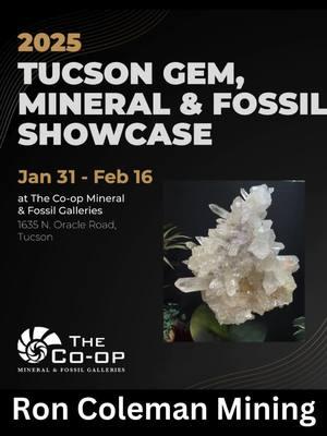 Tuscon 2025 Raw Clusters For Sale At Ron Coleman Mining Showroom, 1635 N Oracle Road.  Buy pristine crystals directly from our quartz Arkansas quartz mine.  #crystalpoints #crystalcluster #crystalclusters #quartzcrystal #quartzcrystals #buydirect #quartzminer #tucson2025 #mineralandfossilcoop #tucsongemandmineralshow #wholesalecrystals #crystalseller