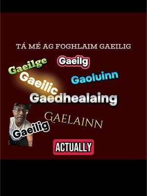 #greenscreen anybody feel like learning something new today? #irishlanguage #gaeilic #irishtik #irish #irishlanguage #gaeilge #education #grammar #language #gael #gaeltacht #polyglot #multilingual #linguistics #irishtiktok #ireland #irelandtiktok #ireland🇮🇪 #languagelearning #irishamerican #fypシ #fyp #fy 