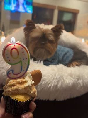 Ima about to have a 10 year old 🥹🥲🥲 my babbyyy #dogsoftiktok #dogmom #boymom #birthday #burthdayparty #dogparty #doglover 