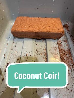 There’s something so satisfying about watching coconut coir expand as it soaks up water!  One moment, it’s a compact brick, and the next, it’s fluffy, light, and ready to use. In just 10–15 minutes, this natural wonder transforms into the perfect seed-starting medium—moisture-retentive, well-aerated, and eco-friendly!  Have you ever used coconut coir for seed starting? Let us know your experience! 🌱  #SeedStarting #CoconutCoir #GardenMagic #FromSeedToSpoon #indoorseedstarting #growfood #growyourfood #growyourownfood #gardening #growingfood #seedtospoon 