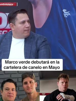 Marco verde debutará en la cartelera de canelo en mayo 🥊💥 #boxing #boxeo #box #deportes #marcoverde #pelea #caneloalvarez #caneloteam #chikilinboxing #sports #noticias #news 