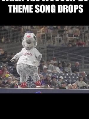 watch until the end for a special announcement 🕺🕺  #woosox #baseball #milb #redsox #worcester #mascot 