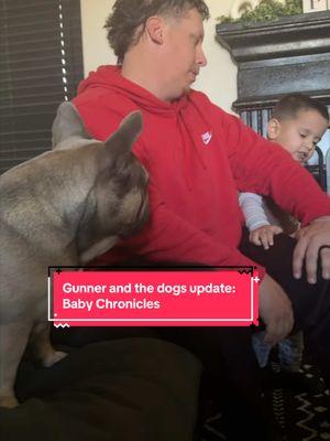 Idk why he hates Jax 😭 #babytok #babychronicles #babypov #babyvoiceover #fyp #dogs #frenchie #frenchiesoftiktok #dogtalk #gernanshephard #babyblog 