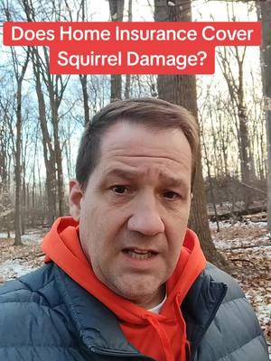 Is damage from squirrel or raccoon covered by home insurance? #homeinsuranceclaims #ClaimAdvice #InsuranceTips #publicadjuster 