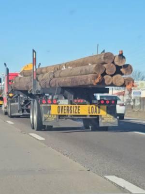 I've seen that movie enough times to know we don't stay behind those 🫣 #finaldestination  #finaldestinationloggingtruck #logtruck #missouricheck #millennialtrauma 